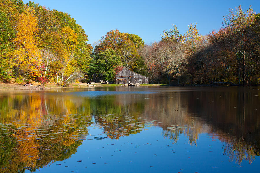 sawmill-pond-ledyard-ct